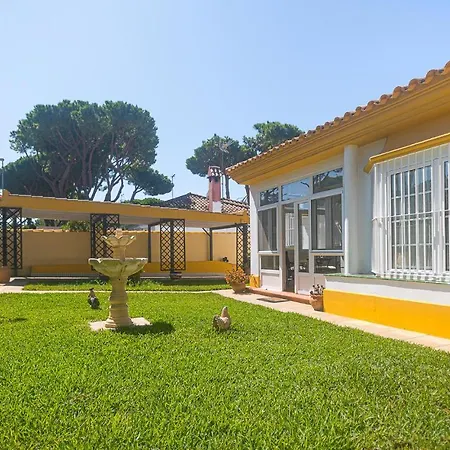 Gorgeous In Chiclana De La Fronter